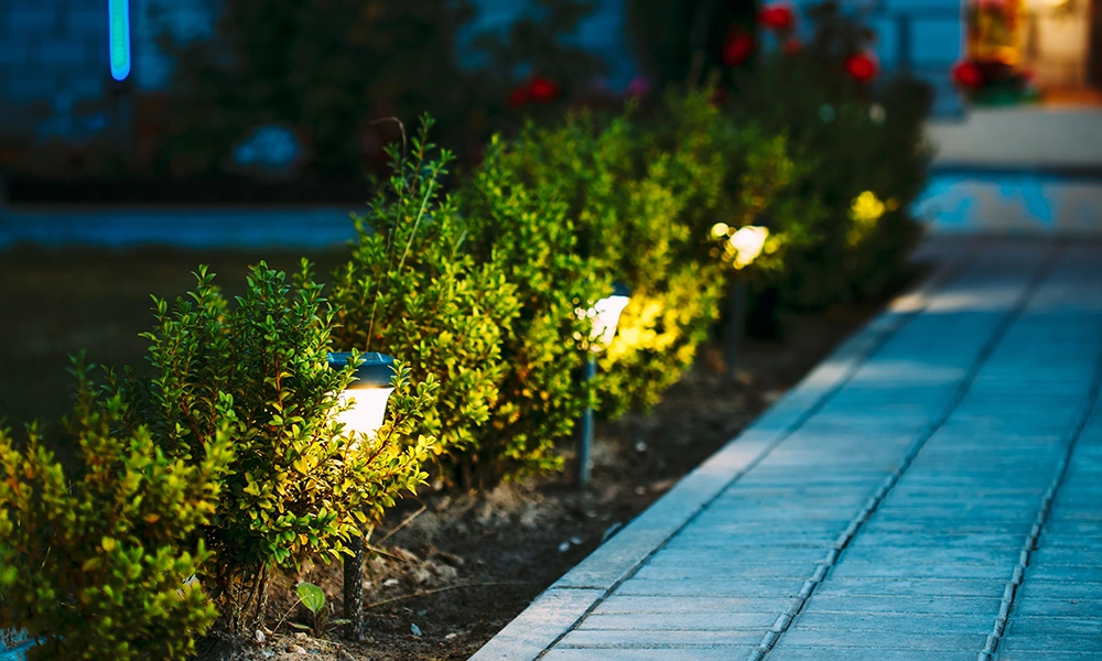 Pathway with illuminated lamps and lush green bushes at twilight.