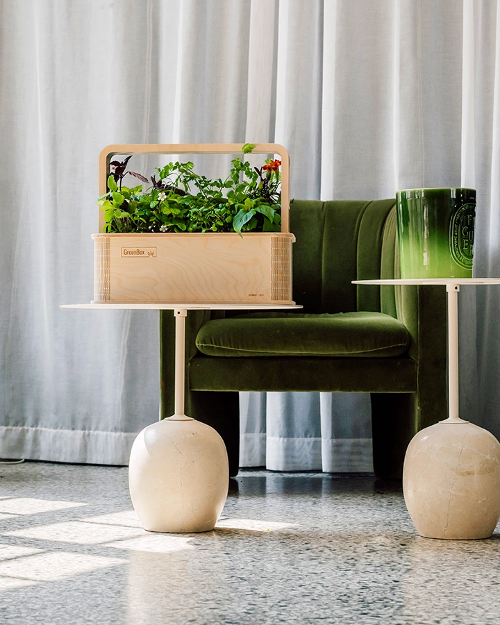 Indoor-Gewächshaus GreenBox auf einem Tisch in einem modernen Wohnbereich mit einem grünen Sessel im Hintergrund.