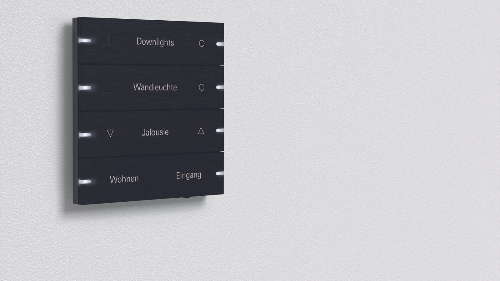 eibe kaufen Heimische Eibe Heckenpflanze